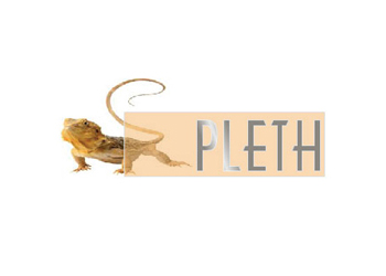 Pleth logo from 2005